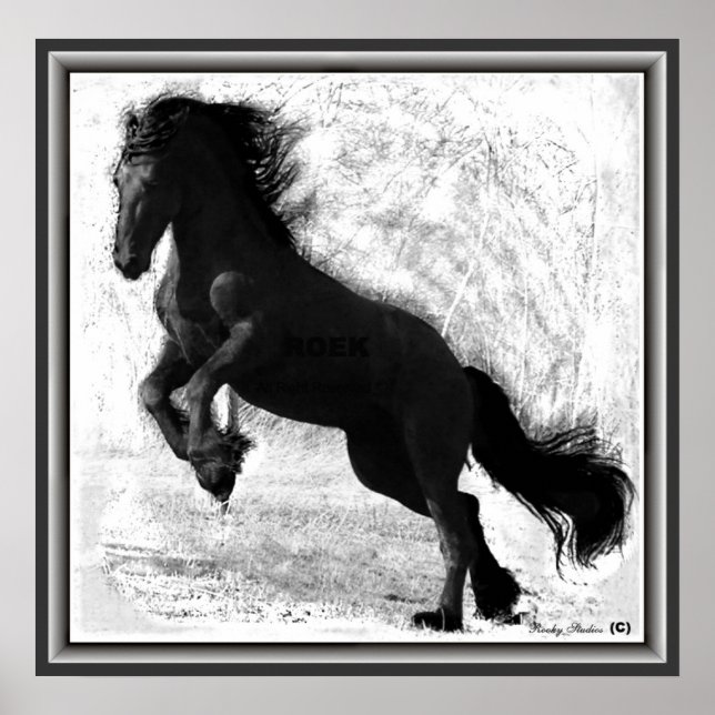 Friesian Power Print (Front)