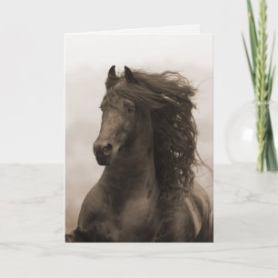 Friesian Running Horse Greeting Card