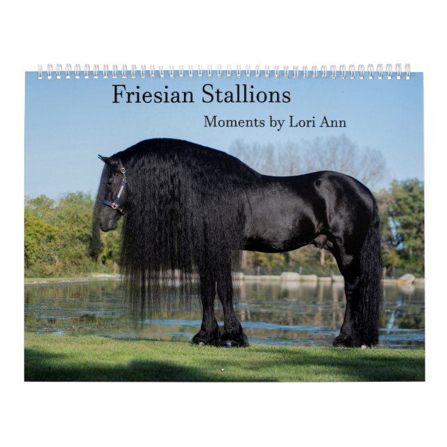 Friesian Stallion Calendar by Moments By Lori Ann (Cover)