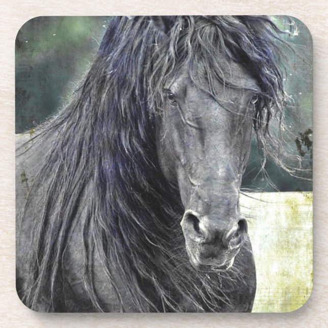 Friesian Stallion Coaster (Front)