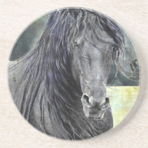 Friesian Stallion Coaster