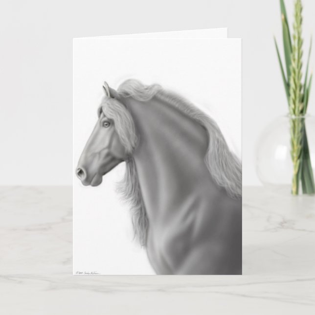 Friesian Stallion Greeting Card (Front)