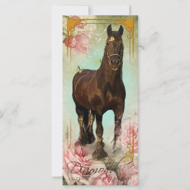 Friesian Stallion - Greeting Card (Front)