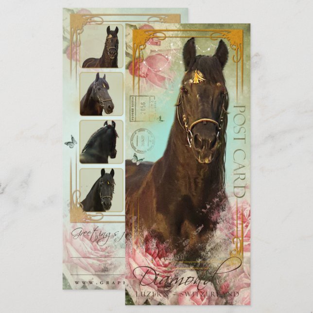 Friesian Stallion - Greeting- /Rackcard Card (Front/Back)
