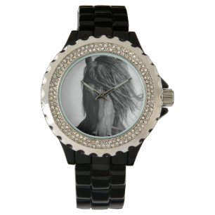 Friesian stallion in the wind. watch