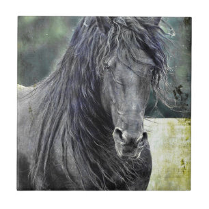 Friesian Stallion Tile