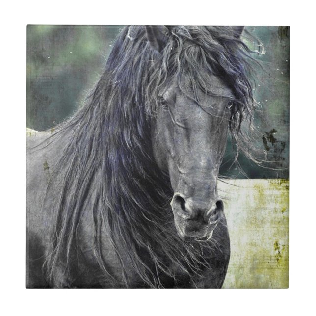 Friesian Stallion Tile (Front)