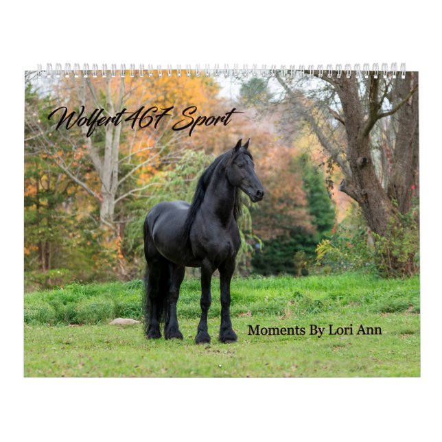 Friesian Stallion Wolfert 467 Sport Calendar (Cover)