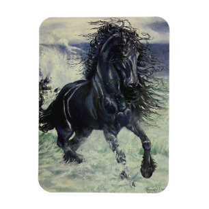"Friesian Storm" black stallion in ocean sea Magnet