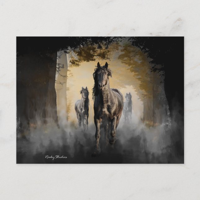 Friesian Three Postcard (Front)