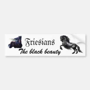 Friesians Bumper Sticker