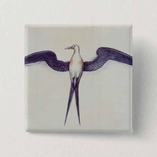 Frigate Bird 15 Cm Square Badge (Front)