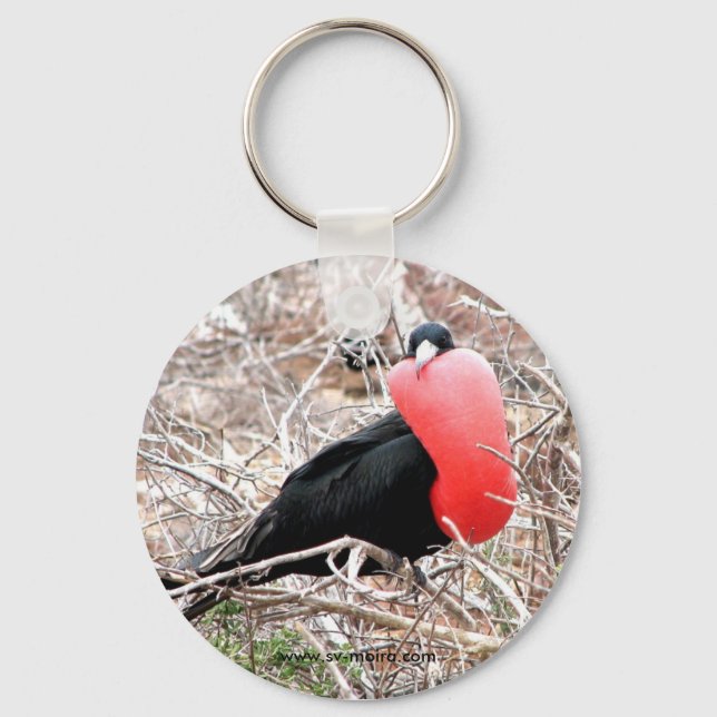 Frigate Bird (Fragata) in Mating Display Galapagos Key Ring (Front)