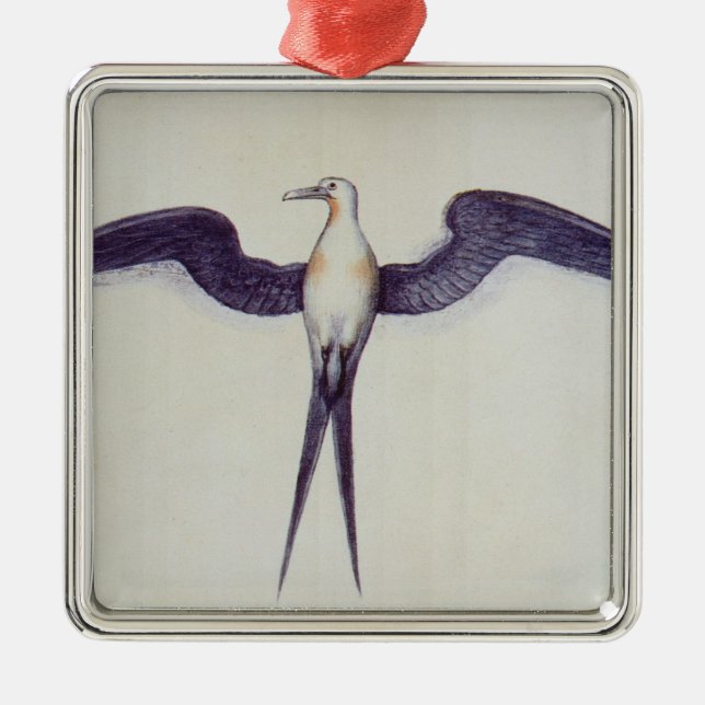 Frigate Bird Metal Tree Decoration (Front)