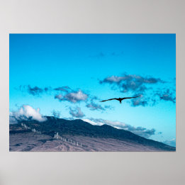 Frigatebird soaring above the Maui ocean poster