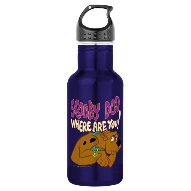 Frightened Scooby-Doo 532 Ml Water Bottle (Front)