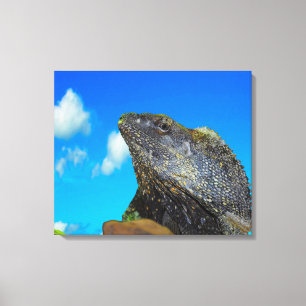 Frill necked Lizard Canvas Print