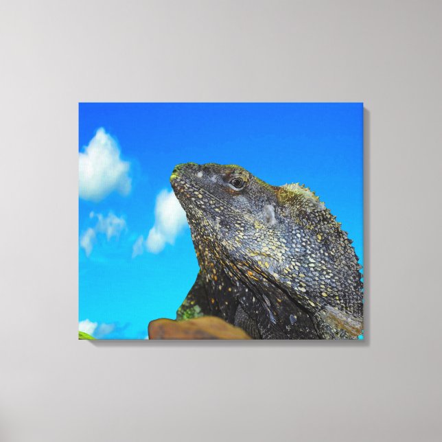 Frill necked Lizard  Canvas Print (Front)