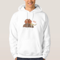 Frilled-neck lizard cartoon illustration
