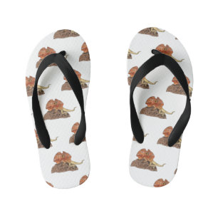 Frilled-neck lizard cartoon illustration kid's flip flops