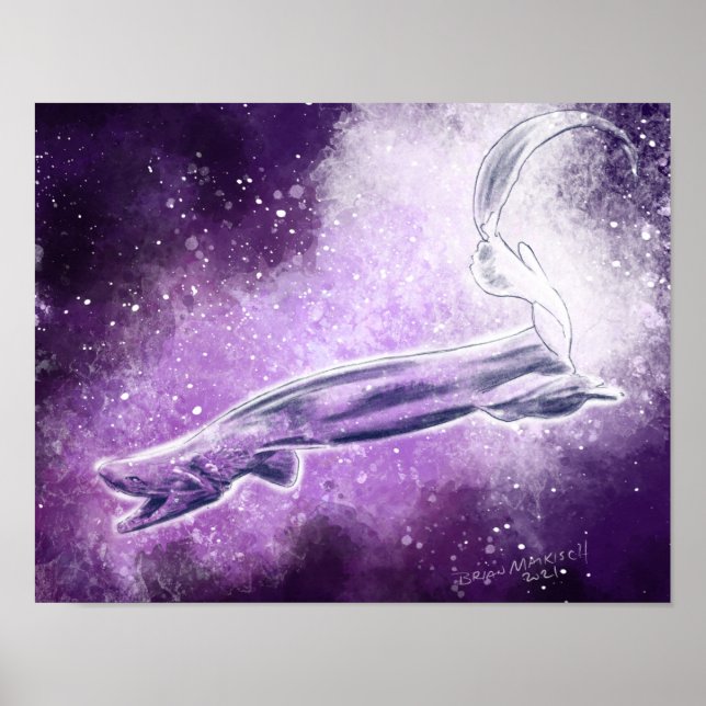 Frilled shark poster (Front)