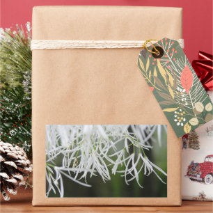 Fringe tree (Chionanthus virginicus) Rectangular Sticker