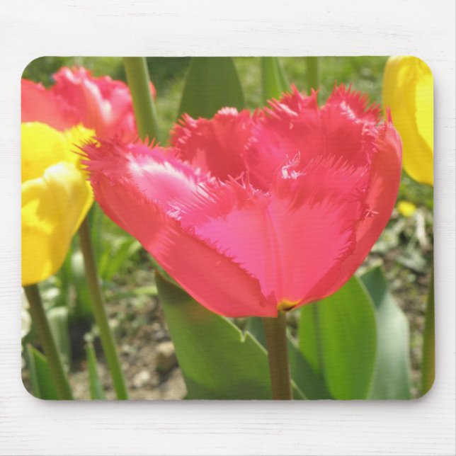 Fringed Tulips Mousepad (Front)
