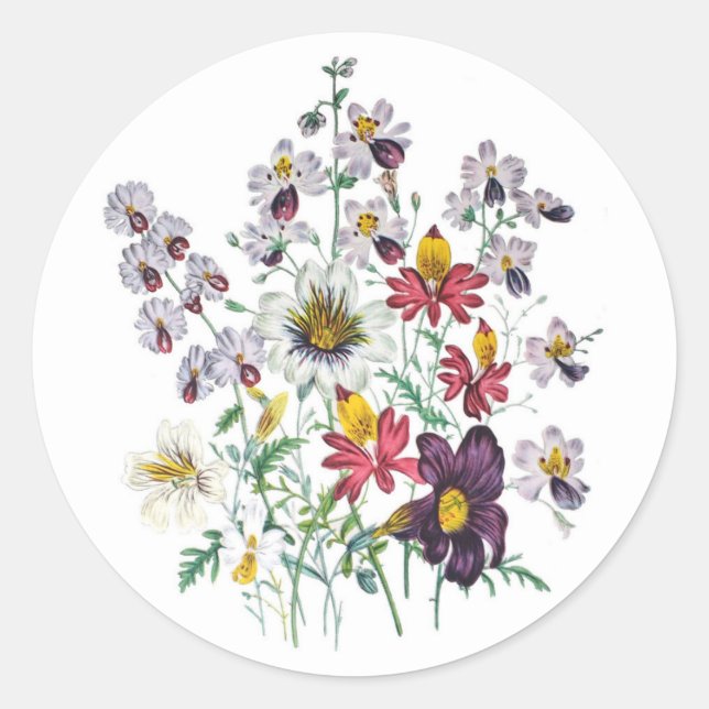 Fringeflowers and Velvet Trumpet Flowers Classic Round Sticker (Front)