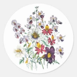 Fringeflowers and Velvet Trumpet Flowers Classic Round Sticker