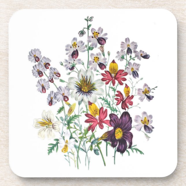 Fringeflowers and Velvet Trumpet Flowers Coaster (Front)