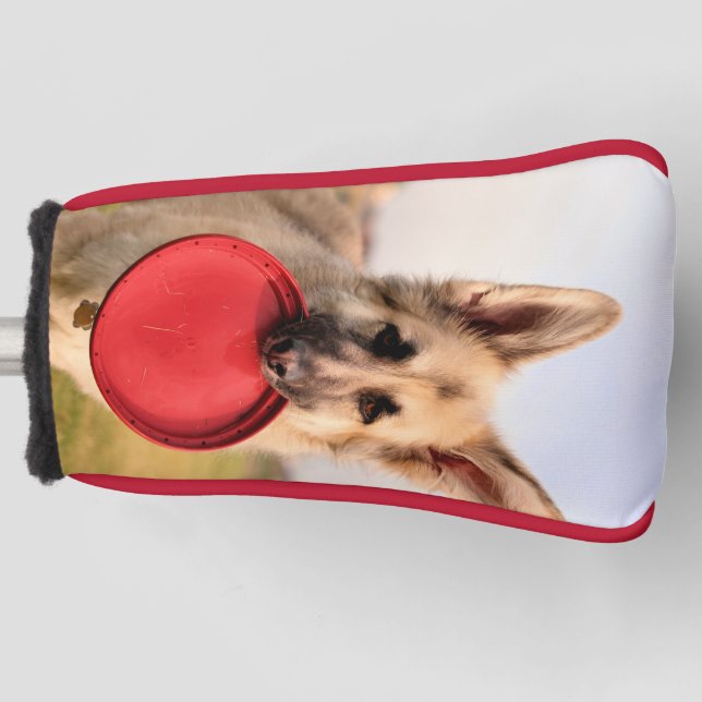 Frisbee Golf Head Cover (Front)