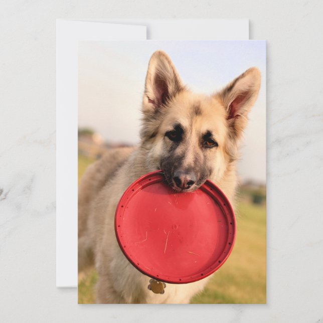 Frisbee Invitation (Front)