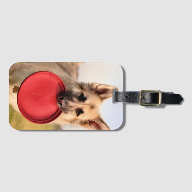 Frisbee Luggage Tag (Front Horizontal)