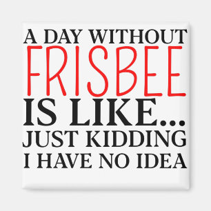 frisbee magnet