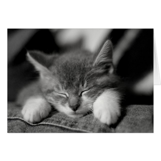 Frisco (Front Horizontal)