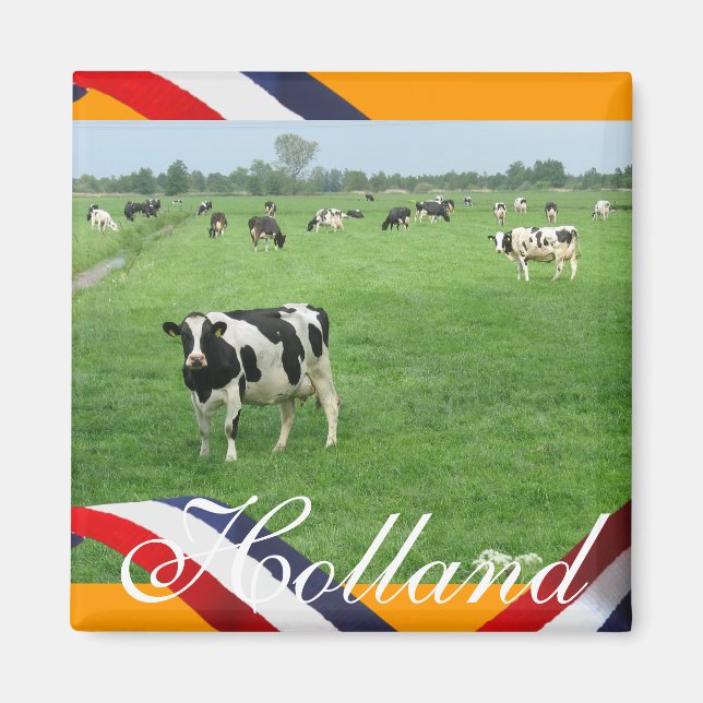 Frisian Cows in Meadow Orange Fridge Magnet Gift (Front)