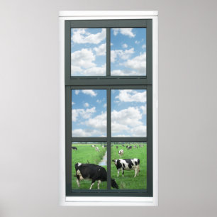 Frisian Holstein Cows Farm Faux Window View Poster