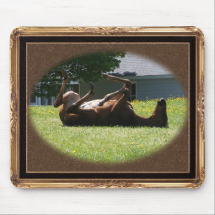 Frisky Foal ~ mousepad