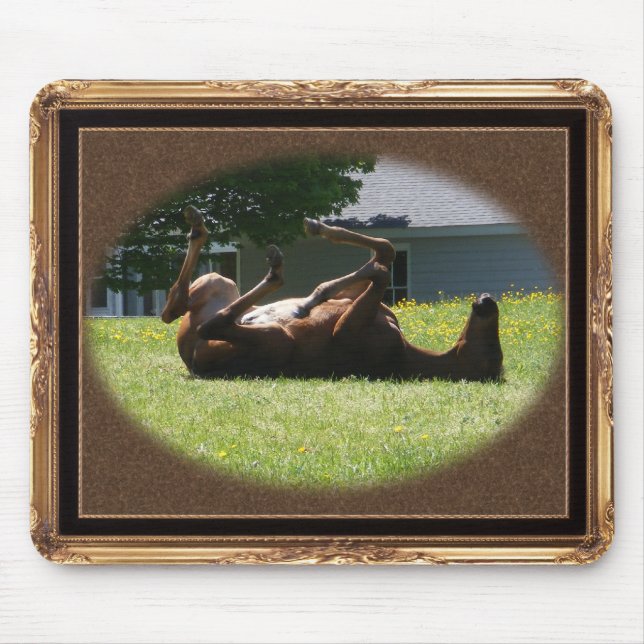Frisky Foal ~ mousepad (Front)