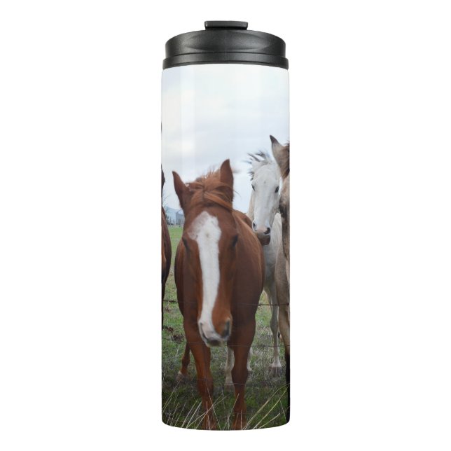 Frisky Hair, Four Horse Pals, Thermal Tumbler (Front)