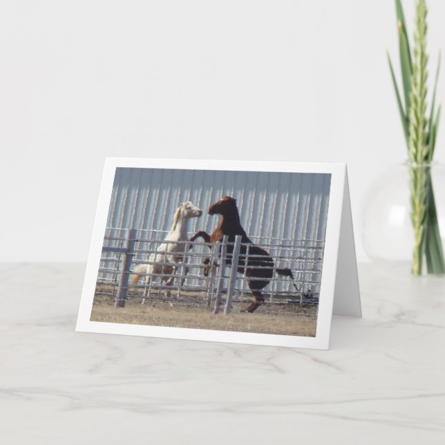 Frisky Horses, Valentine's Day Holiday Card (Front)