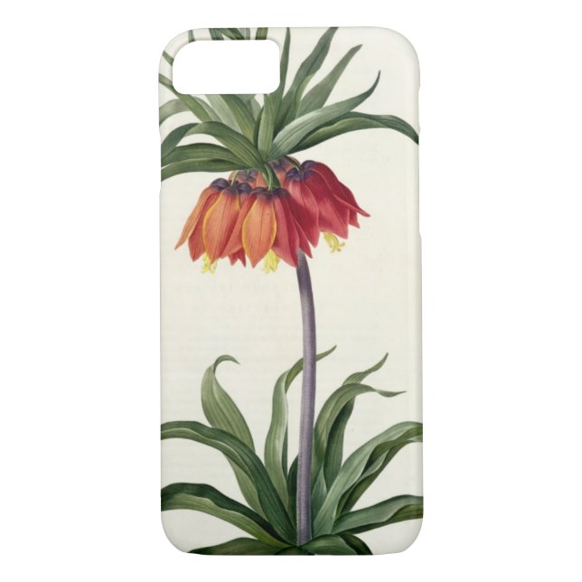 Fritillaria Imperialis from, `Les Lilacees', 1802- Case-Mate iPhone Case (Back)