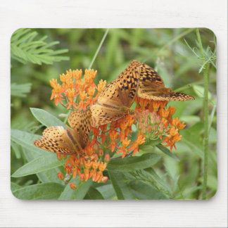 Fritillary butterflies mouse mat
