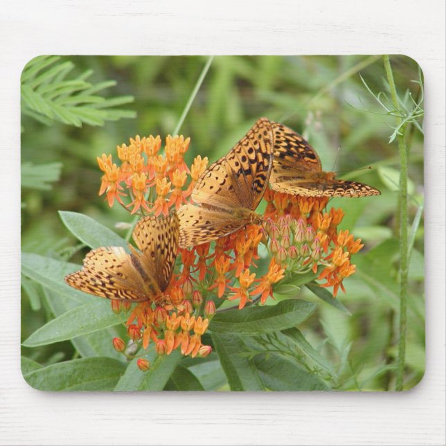 Fritillary butterflies mouse mat (Front)