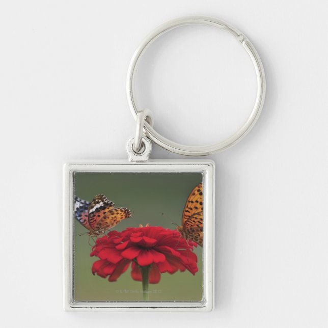 Fritillary Butterfly (Argyreus hyperbius) on 2 Key Ring (Front)
