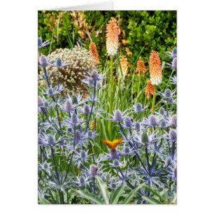 Fritillary Butterfly In A Summer Garden