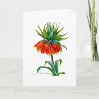 Fritillary Card