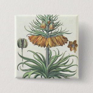 Fritillary: Corona Imperialis florum classe duplic 15 Cm Square Badge