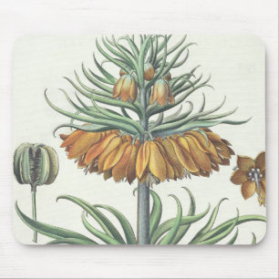 Fritillary: Corona Imperialis florum classe duplic Mouse Mat