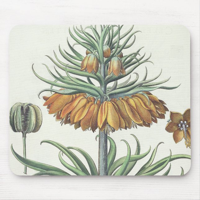 Fritillary: Corona Imperialis florum classe duplic Mouse Mat (Front)